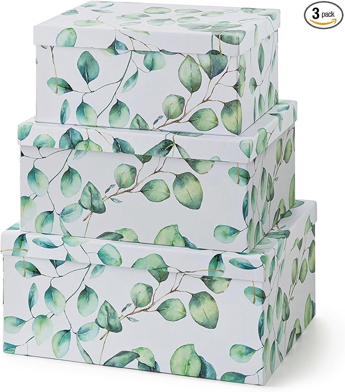 Soul & Lane Decorative Cardboard Storage Boxes with Lids for Home Decor and Organization, Set of 3 Large Keepsake Boxes for Memories & Gifts, Nesting Floral Photo Storage Containers, Eucalyptus Leaves