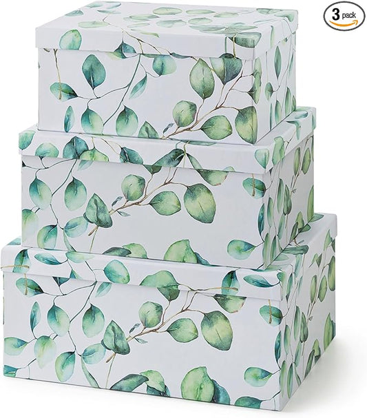 Soul & Lane Decorative Cardboard Storage Boxes with Lids for Home Decor and Organization, Set of 3 Large Keepsake Boxes for Memories & Gifts, Nesting Floral Photo Storage Containers, Eucalyptus Leaves