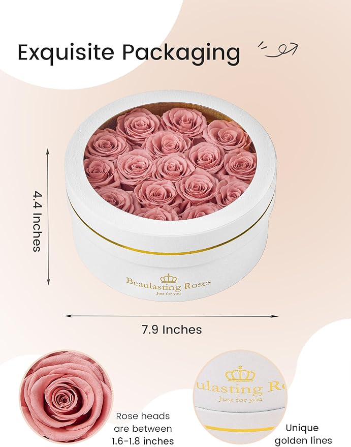 Preserved Roses Forever Flowers Real Roses in a Box Mother's Day Birthday Flowers for Her Mom Women Wife Valentine's Day, 16 Dusty Pink Roses