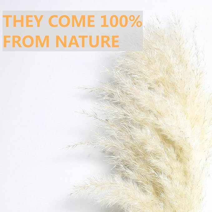 10 PCS Beige Pampas Grass Decor, Naturally Dried Pompas, Bunny Tails Dried Flowers, and Dried Eucalyptus. Perfect for Weddings, Boho Party Decorations, and Table Decor(17inch)