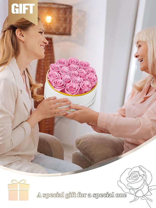 Preserved Roses Forever Flowers Real Roses in a Box Mother's Day Birthday Flowers for Her Mom Women Wife Valentine's Day, 16 Pink Roses