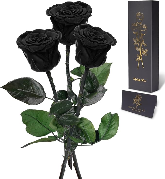 Yamonic Preserved Flowers Rose Gifts for Mom Grandma, Mom Birthday Gifts for Women, Mothers Day Real Flower Rose Gifts for Moms, Her, Wife, Girlfriend Gifts on Christmas,Valentine's Day, Anniversary