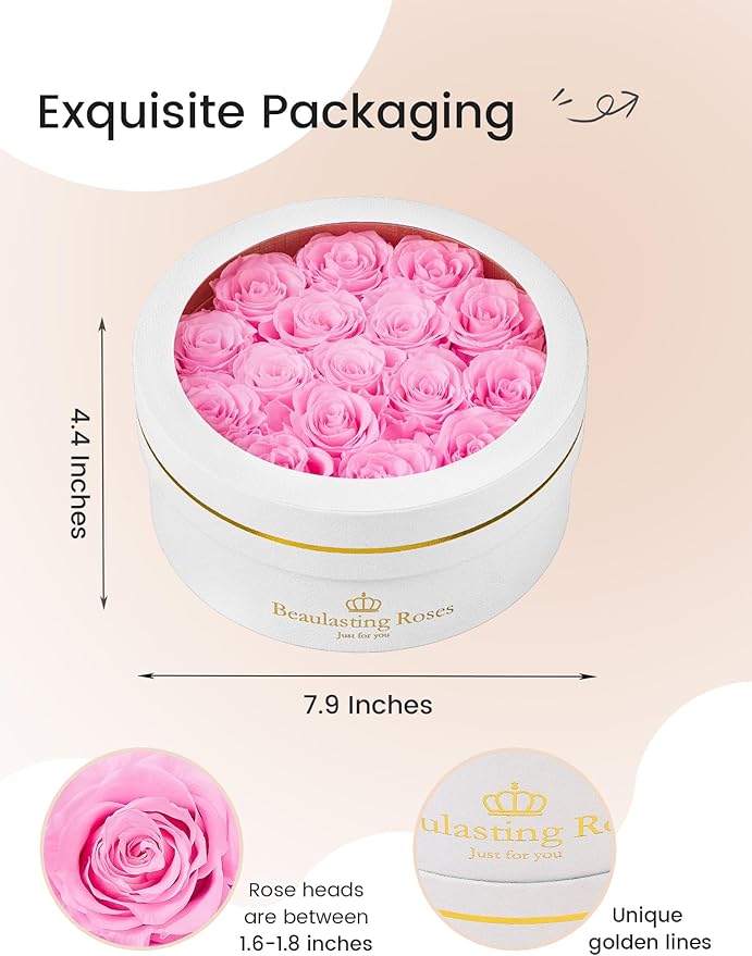Preserved Roses Forever Flowers Real Roses in a Box Mother's Day Birthday Flowers for Her Mom Women Wife Valentine's Day, 16 Light Pink Roses