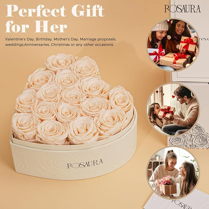 Rosaura Heart-Shaped Preserved Roses Gift Box - Real Forever Flowers for Birthday, Valentine's & Mother's Day (Champagne, 16 roses)