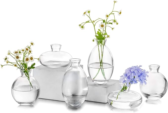 Glass Bud Vase for Centerpieces, 6Pcs/2Sets Glasseam Modern Clear Mini Small Vases for Flowers Bulk Flower Vase Set Aesthetic Cute Handmade Tiny Short Wedding Table Centerpiece Decor