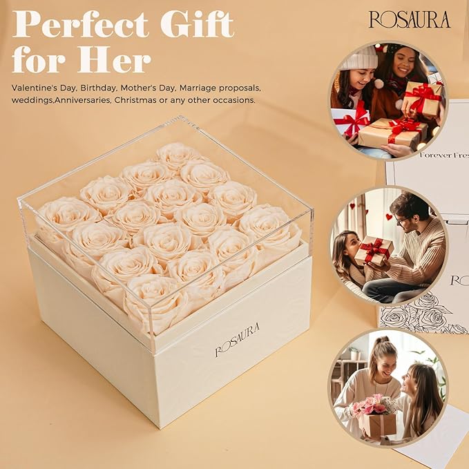 Rosaura Square Preserved Roses Gift Box - Real Forever Flowers in Clear Acrylic Lid, Valentine's for Women (Champagne, 16 Roses)
