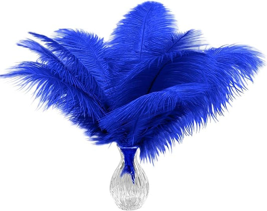 Piokio 20pcs Blue Ostrich Feathers 10-12 inch (25-30cm) Bulk Feathers for Decoration and DIY Clothing and DIY Clothes Decoration, Gatsby Decorations