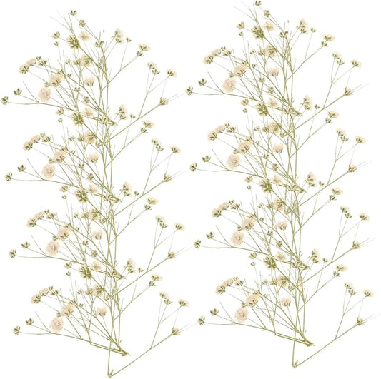 Natural Eternal Dried Flower Bouquet DIY Kit Stems S Breath Floral Adornments for Home Decor Vase Filling Rustic Wedding Decorations