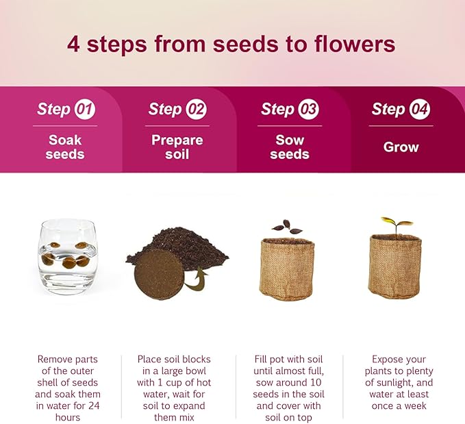 Herbsy 5 Indoor Flower Growing Kit, Complete Planting Starter Set with Sunflower, Zinnia, Marigold, Cosmos, Cornflower Seeds, Unique Birthday and Christmas Gifts for Women, Men, Plant Lovers