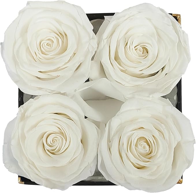 Changshunqi Forever Flowers, Preserved Real Roses in a Box Last 2-3 Years, Preserved Flowers Birthday Gifts For Womem Mom Roses Gifts for Her Girlfriends Friend Eternal Flowers Gift