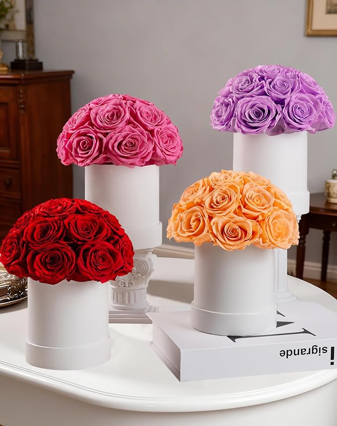 Preserved Roses Dome in a Box, Forever Real Roses Decor, Eternal Flowers for Delivery Prime, Best Gifts Birthday, Wedding, Anniversary, Mother's Day, Christmas for Her, 18-Pieces (Red)