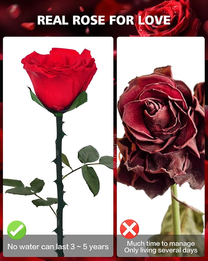 Flowers for Delivery Prime Gifts for Women: Preserved Rose Gifts for Mom Wife Grandma Birthday Single Rose Red
