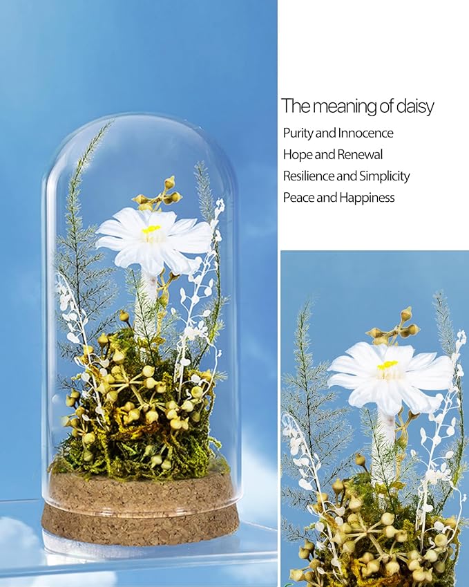 JoyFlower Preserved Daisy in Glass Dome, Real Daisy Eternal Flowers Gifts for Women, Preserved Flower Friendship Gifts for Girlfriend Best Friend Sisters Daughter Birthday Graduation Gift