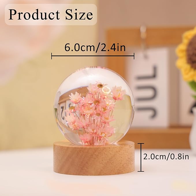 Daisy Decor Gifts,Daisy Flower Lamp Crystal Ball Night Light,2.4 Inch Glass Ball Lamp with LED Wooden Base,Soft Warm White Lighting for Women Best Friends Sister Birthday Xmas Aesthetic Gift(Red)