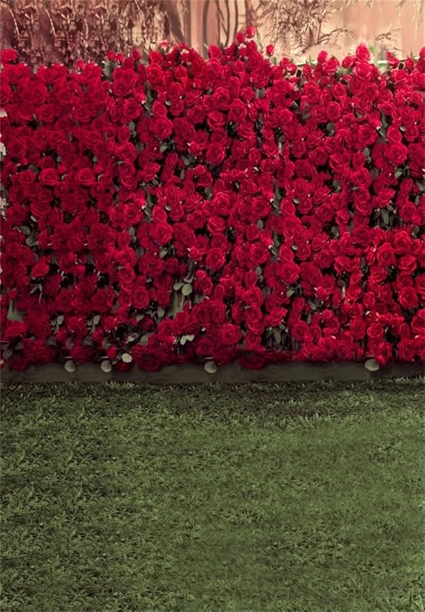 AOFOTO 5x7ft Child Photography Background Kid Photo Shoot Backdrops Romance Red Rose Flowers Wall Blurry Grass Floors Toddler Artistic Portrait Scene Studio Props Video Digital