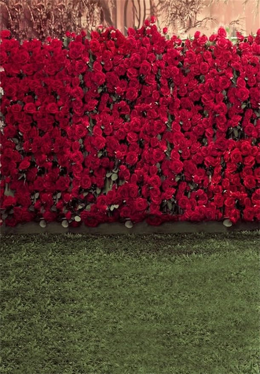 AOFOTO 5x7ft Child Photography Background Kid Photo Shoot Backdrops Romance Red Rose Flowers Wall Blurry Grass Floors Toddler Artistic Portrait Scene Studio Props Video Digital