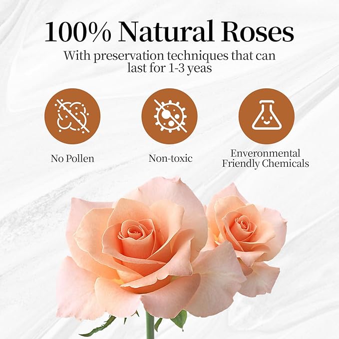 Flower, Forever Roses in A Box, Fresh Flowers, Birthday Gifts for Her, Women, Mom, Girlfriend, Wife, Grandma,Champagne Forever Roses