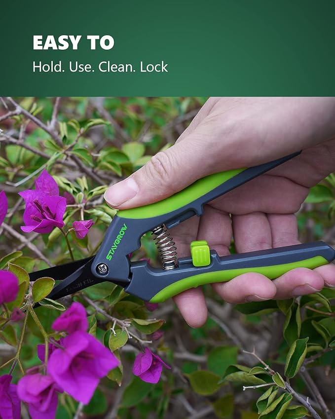 2pcs 6.5" Pruning Shears for Gardening, Ultra Sharp Garden Scissors for Precise Cuts, Stainless Steel Bonsai Clippers with Spring Loaded, 6.5 Inch Garden Shears (1pc Straight & 1pc Curved)