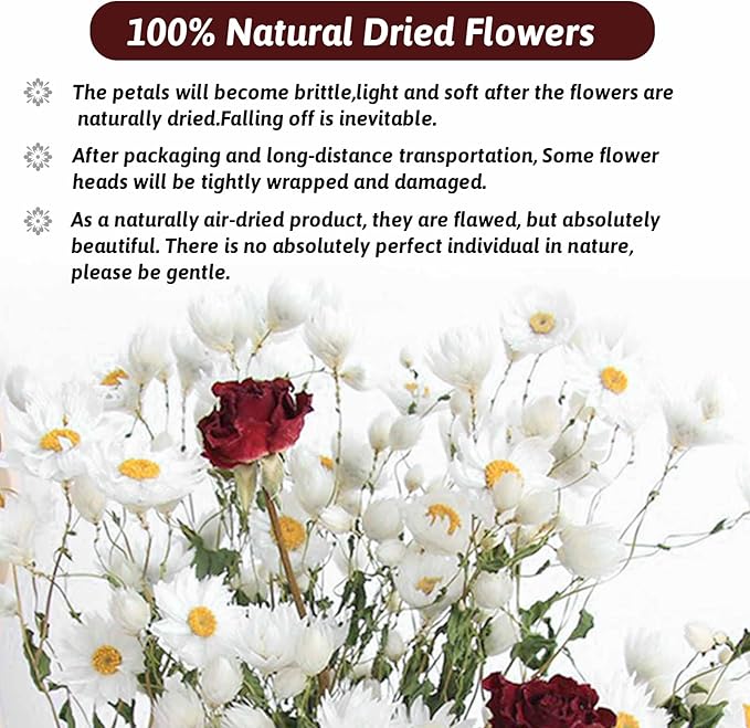 Dried Daisy Flowers Bouquet, 250+ Dry White Flowers, Artificial Sunflowers, 17'' Natural Gerber Daisies Arrangements for Farmhouse Vase Decor, Wedding, DIY Home Office Party Decoration