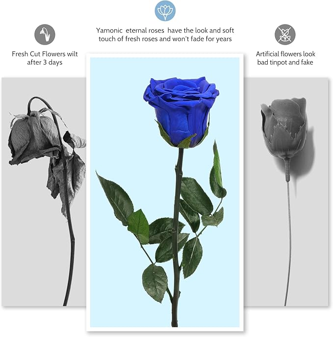 Yamonic Preserved Flowers Rose Gifts for Mom Grandma, Mom Birthday Gifts for Women, Mothers Day Real Flower Rose Gifts for Mom,Her,Wife,Girlfriend on Christmas,Valentine's Day,Anniversary(5 Rose)