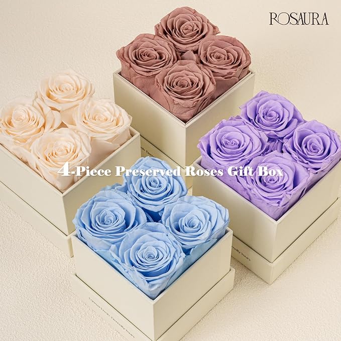 Rosaura 4-Piece Eternal Preserved Roses & Flowers Gift Box - Forever Lasting Real Roses, Preserved Flowers for Valentine's Day Cappuccino