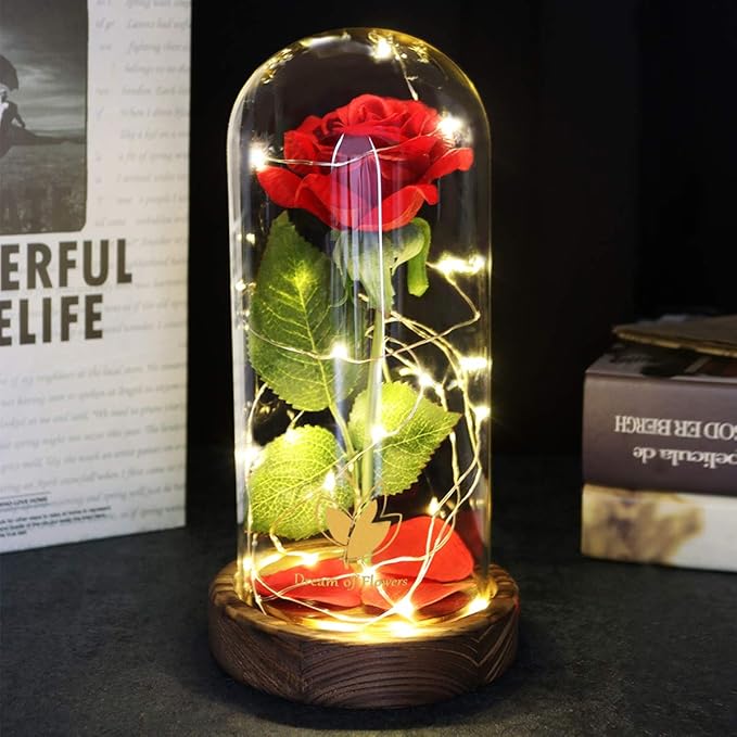 Christmas Beauty and The Beast Rose Gifts for Women, Birthday Gifts for Her, Red Rose Gifts for Mom Wife Grandma, Eternal Rose in Glass Dome with LED Lights, Women's Gift