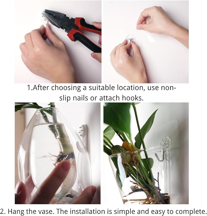 Wall-Mounted Acrylic Planter for Hydroponic Plants – Mantou Vase Medium, Modern Transparent Design for Home & Office Decoration