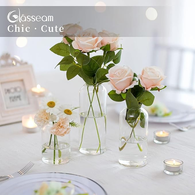 Glasseam Clear Glass Bud Vase, Set of 6 Modern Cylinder for Centerpieces, Blown Craft Aesthetic Decorative Small Flower Vases Bulk for Flowers Rose Tulip Pampas Grass