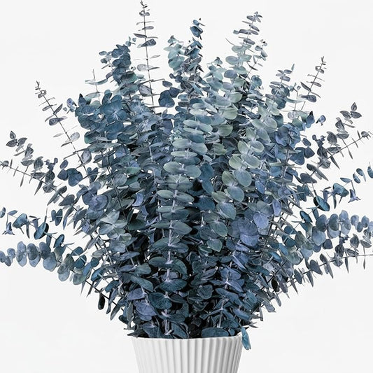 26Pcs Real Dried Eucalyptus Stems, 17" Blue-Green Preserved Eucalyptus Stems for Vase, Home Decor, Farmhouse, Dried Flowers Table Centerpiece Arrangement