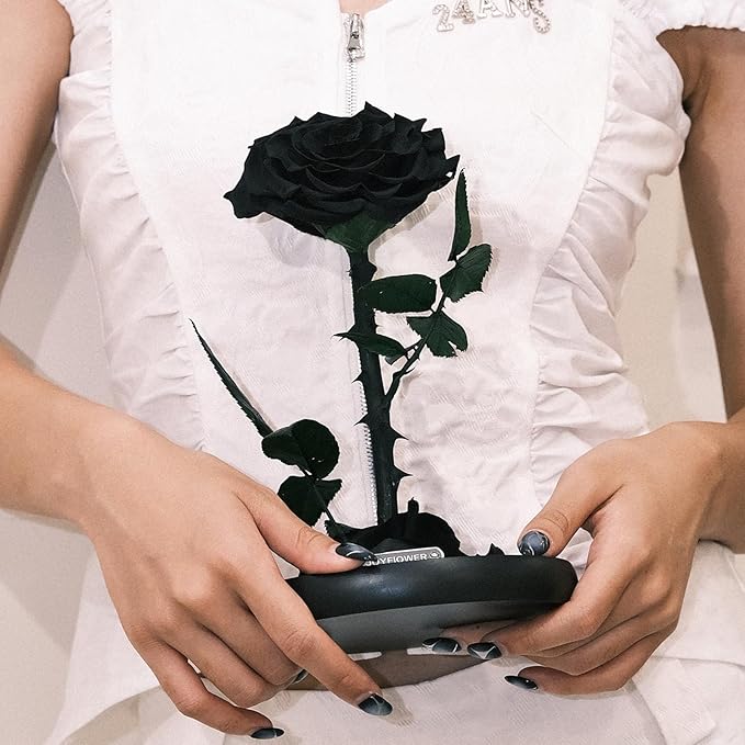 JoyFlower Single Rose Real Rose Flower Gifts for Mom from Daughter Son, Birthday Gifts for Women, Eternal Rose Preserved Flowers for Delivery Prime for Christmas Valentine's Mothers Day(Black)