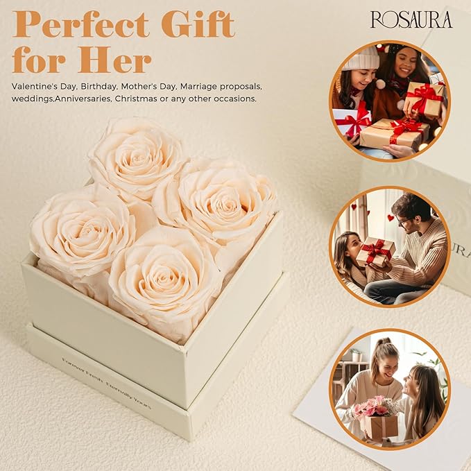 Rosaura 4-Piece Eternal Preserved Roses & Flowers Gift Box - Forever Lasting Real Roses, Preserved Flowers for Valentine's Day (Champagne)