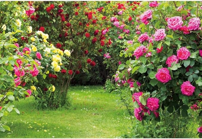 Renaiss 9x6ft Spring Garden Backdrop Red Pink Rose Flower Park Floral Green Leaf Grass Natural Landscape Photography Background for Wedding Bridal Shower Party Decor Photo Booth Props