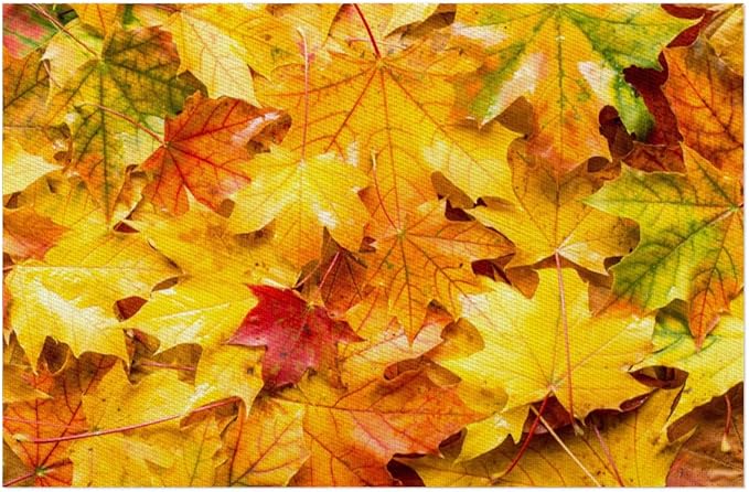 Autumn Maple Leaf Fall Placemats Set of 1 PVC Vinyl Non Slip Table Mats Heat Resistant Place Mats Washable Wipeable Dining Table Mat for Kitchen Decor Party Indoor Outdoor Decorative Gift
