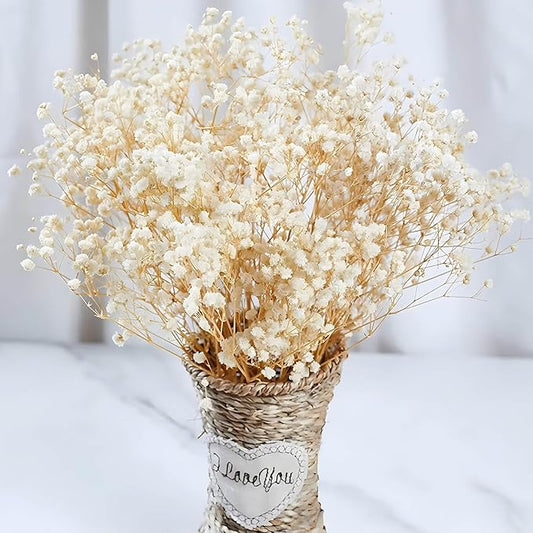 2500+ Dried Babys Breath Flowers Bulk - 17" Ivory White Dried Flower Bouquet, Real Natural Gypsophila Branches for Vase Filler, Wedding, Table Centerpiece, Home Decor, DIY Wreath Floral, Crafts