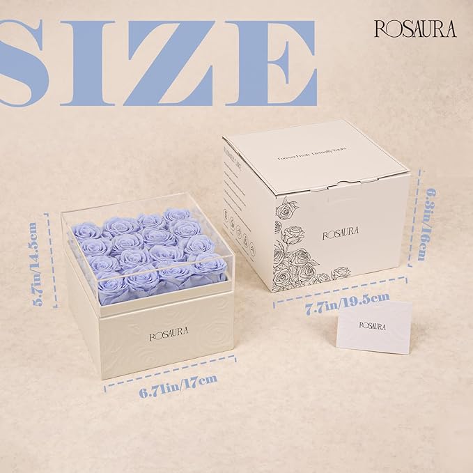 Rosaura Square Preserved Roses Gift Box - Real Forever Flowers in Clear Acrylic Lid, Valentine's for Women (Sky Blue, 16 Roses)