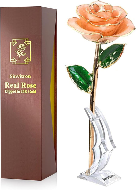 Sinvitron Gold Dipped Infinity Rose Forever Flower Decor, Resin Preserved Real Rose Birthday Gift for Women, Anniversary Present for Mom (Pink)