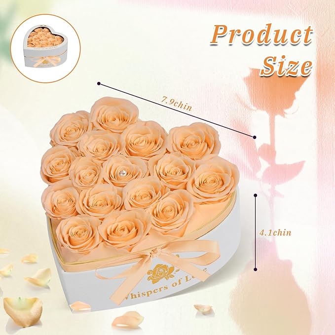 Luxury Preserved Roses – Forever Real Roses Flowers for Delivery in a White Box, Preserved Flowers Birthday Gifts for Women Mom Wife, Ideal for Anniversary (Champagne 16 Roses, 16 Roses)