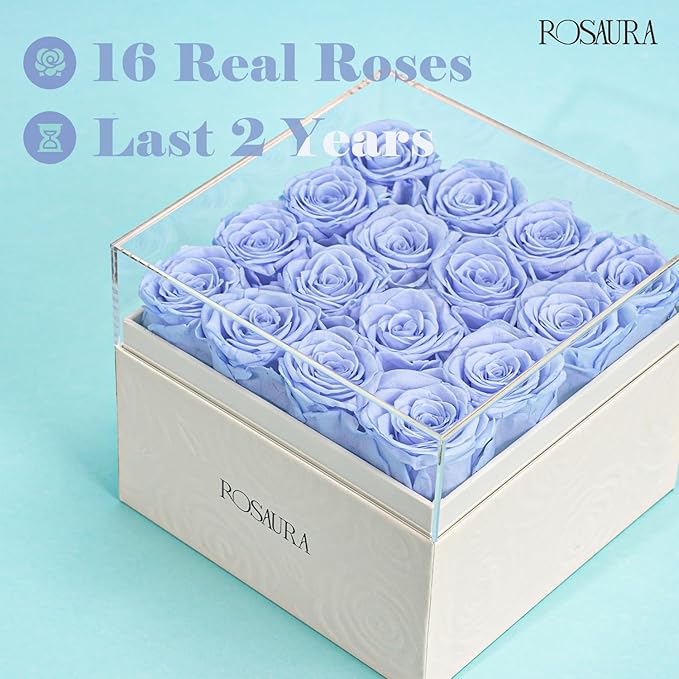 Rosaura Square Preserved Roses Gift Box - Real Forever Flowers in Clear Acrylic Lid, Valentine's for Women (Sky Blue, 16 Roses)