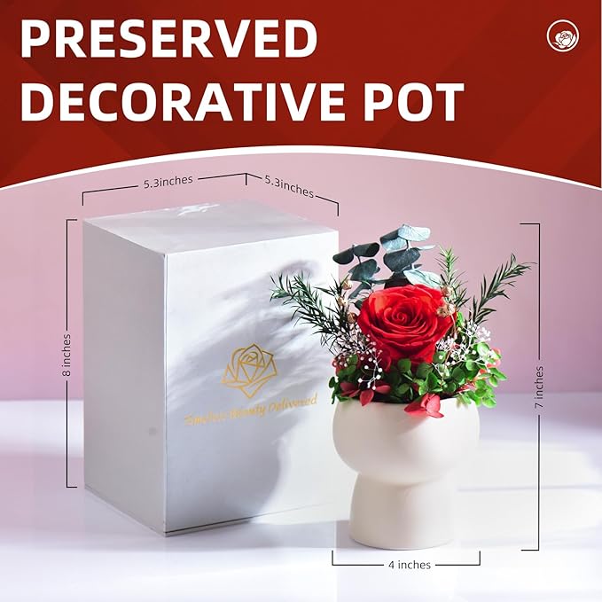Preserved Floral Gift Set, Everlasting Rose in Small Ceramic Pot - Lasting Beauty for Home Table Decor, Mother's Day, Valentine's Day, Birthday, and Anniversary (Red)