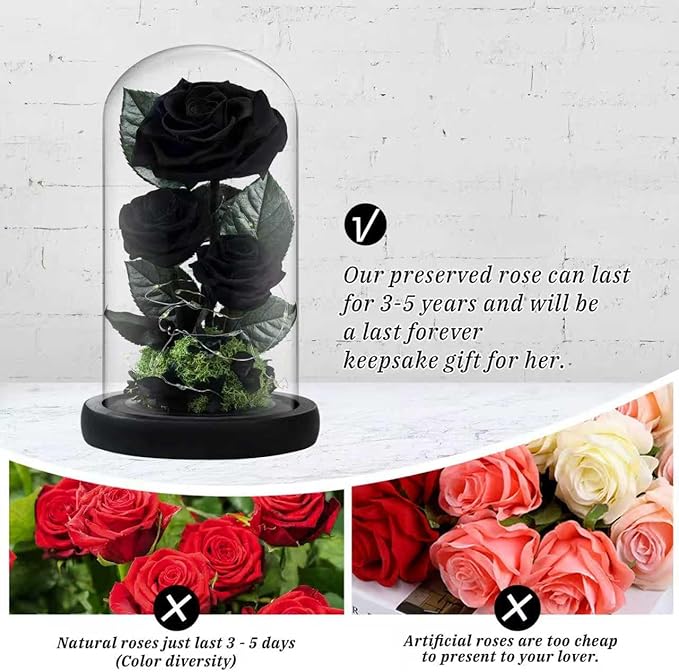 3 Preserved Flowers Roses in Glass Dome with Light for Beauty and The Beast Decor Real Rosas Eternas for Women Mom Birthday,Forever Black Roses for Delivery, Christmas for Wife Girlfriend Her