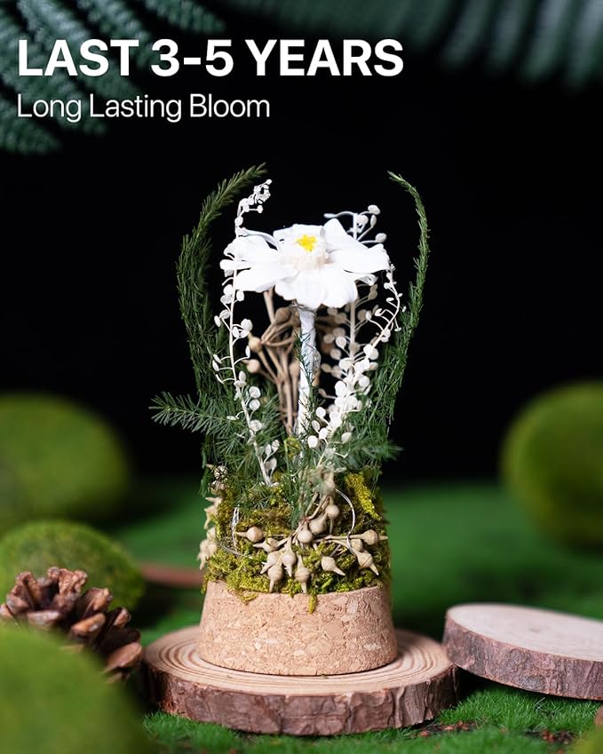JoyFlower Preserved Daisy in Glass Dome, Real Daisy Eternal Flowers Gifts for Women, Preserved Flower Friendship Gifts for Girlfriend Best Friend Sisters Daughter Birthday Graduation Gift