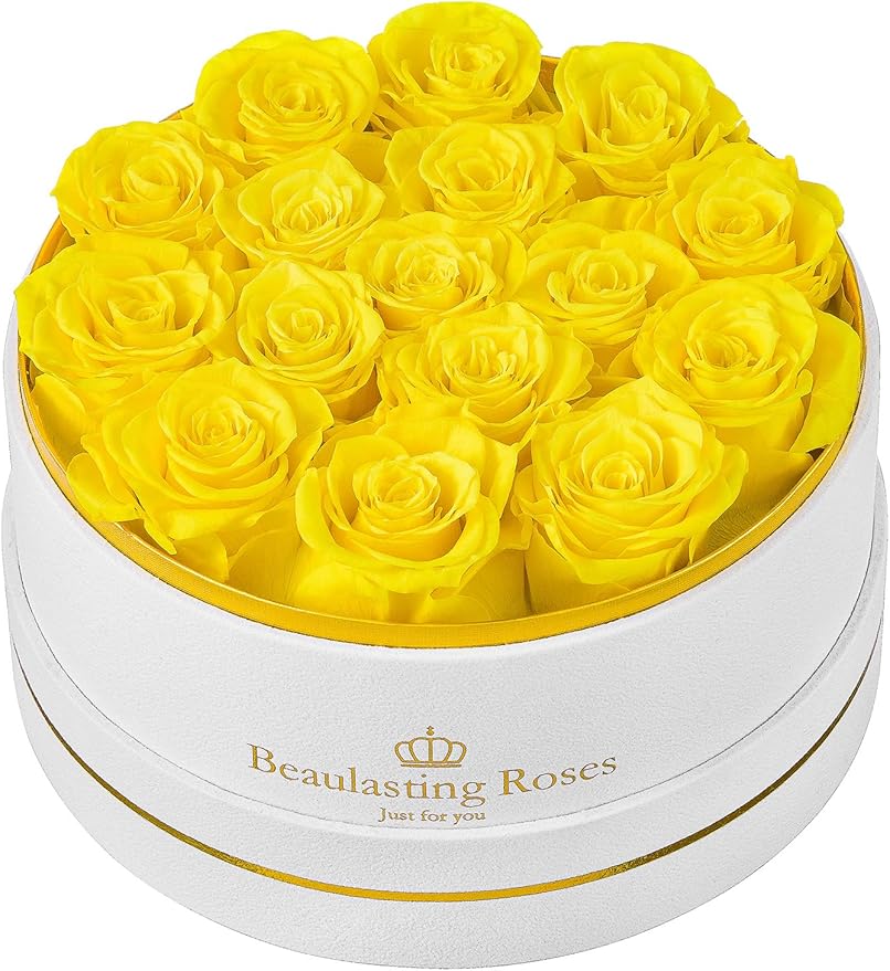 Preserved Roses Forever Flowers Real Roses in a Box Mother's Day Birthday Flowers for Her Mom Women Wife Valentine's Day, 16 Yellow Roses