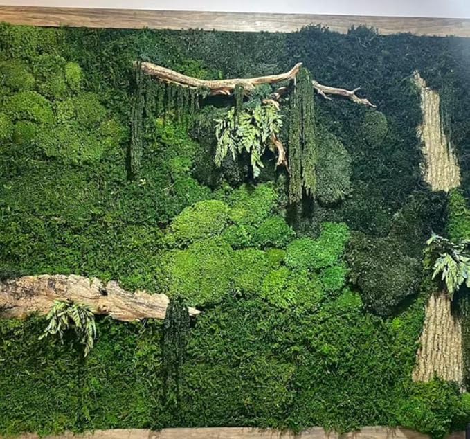 Preserved Sheet Moss Natural Green Decorative Real Natural Green DIY Kit Gardenning Art Wall Decor Florist Decor Easter Table Decor Wedding 2 sq.ft.Green-B