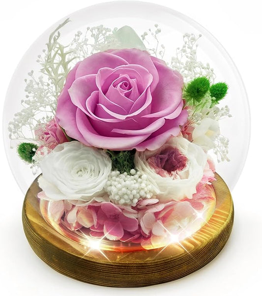 Preserved Flowers Birthday Gifts for Her Preserved Rose in Glass Dome Forever Fresh Flowers for Delivery Prime Eternal Pink Rose Gifts for Women Wife Mom Sister on Anniversary Valentines Day