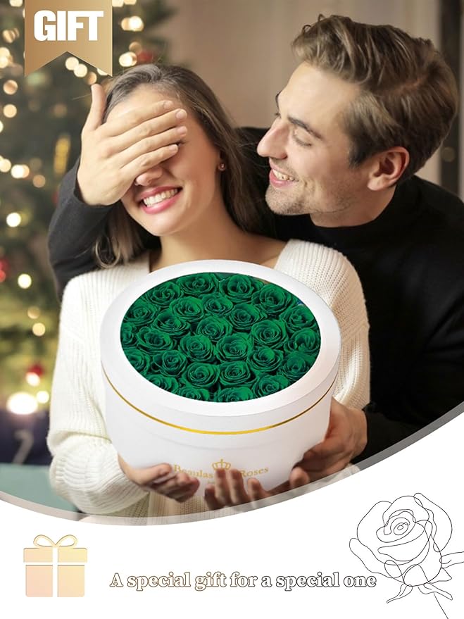 Preserved Roses Forever Flowers Real Roses in a Box Mother's Day Birthday Flowers for Her Mom Women Wife Valentine's Day, Green, 27 Piece
