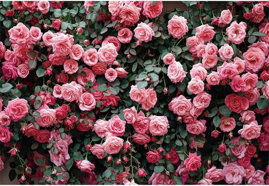 14x10ft Pink Rose Flower Photo Background Wedding Bridal Newborn Shower Birthday Party Photography Backdrops Banner Decor Anniversary Ceremony Couple Studio Props