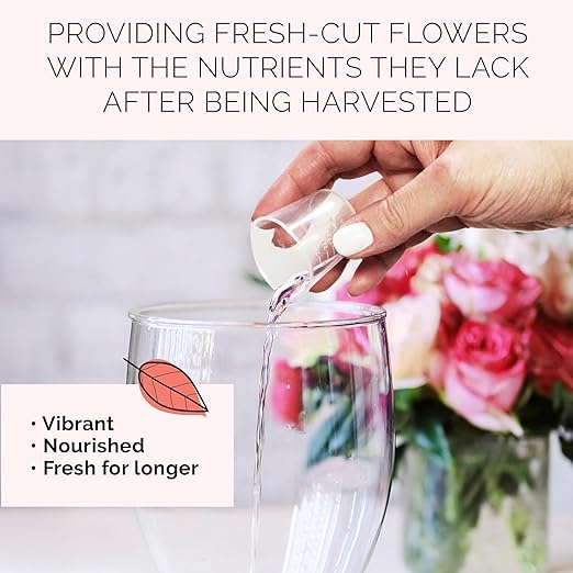 FloraLife Flower Food & Surface Cleaner - Nutrition Solution & Vase and Tool Cleaning Set - 2 X 8oz