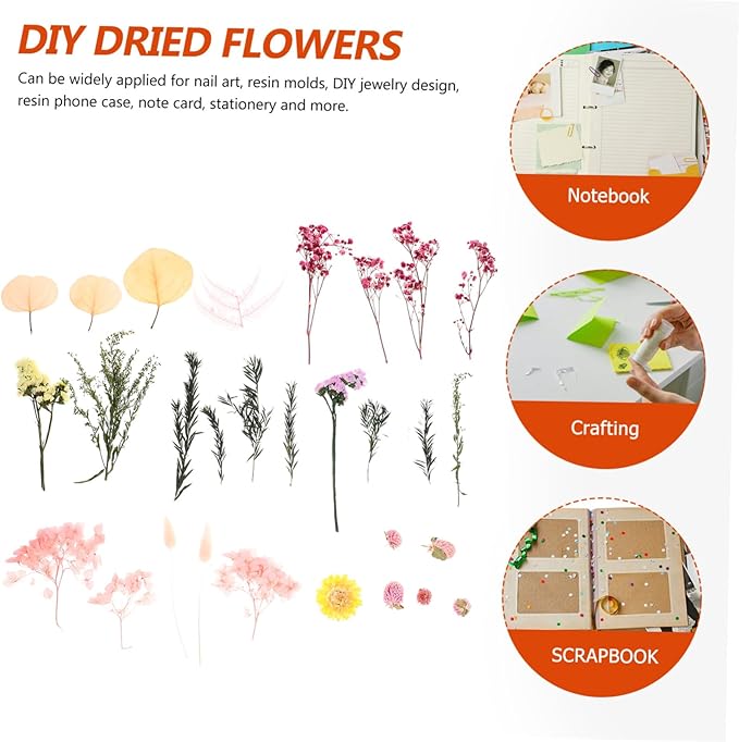 Natural Dried Flowers DIY Craft Kit Real Flower Bouquet Accessories for Photo Frame Making Floral Decorations for Wedding Home Party and Interior Styling