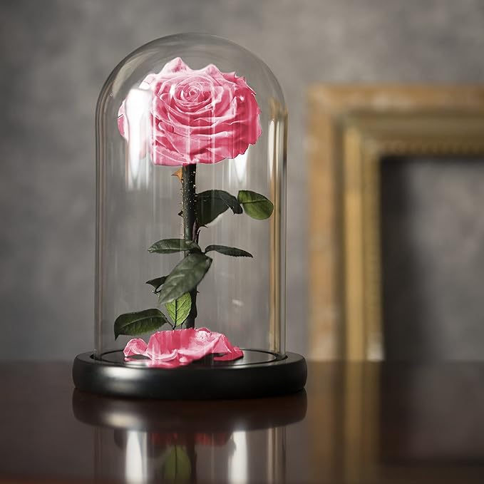 Forever Preserved Rose - Eternal Rose in Glass Dome - Beauty and The Beast Rose for Mom - Fresh Flowers for Delivery Prime (Pink, 9 Inch)