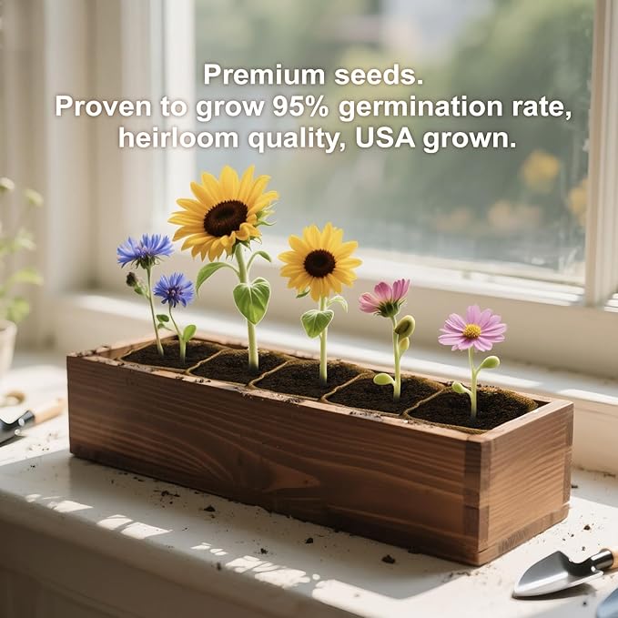 Herbsy 5 Indoor Flower Growing Kit, Complete Planting Starter Set with Sunflower, Zinnia, Marigold, Cosmos, Cornflower Seeds, Unique Birthday and Christmas Gifts for Women, Men, Plant Lovers